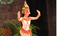 Cultural Show